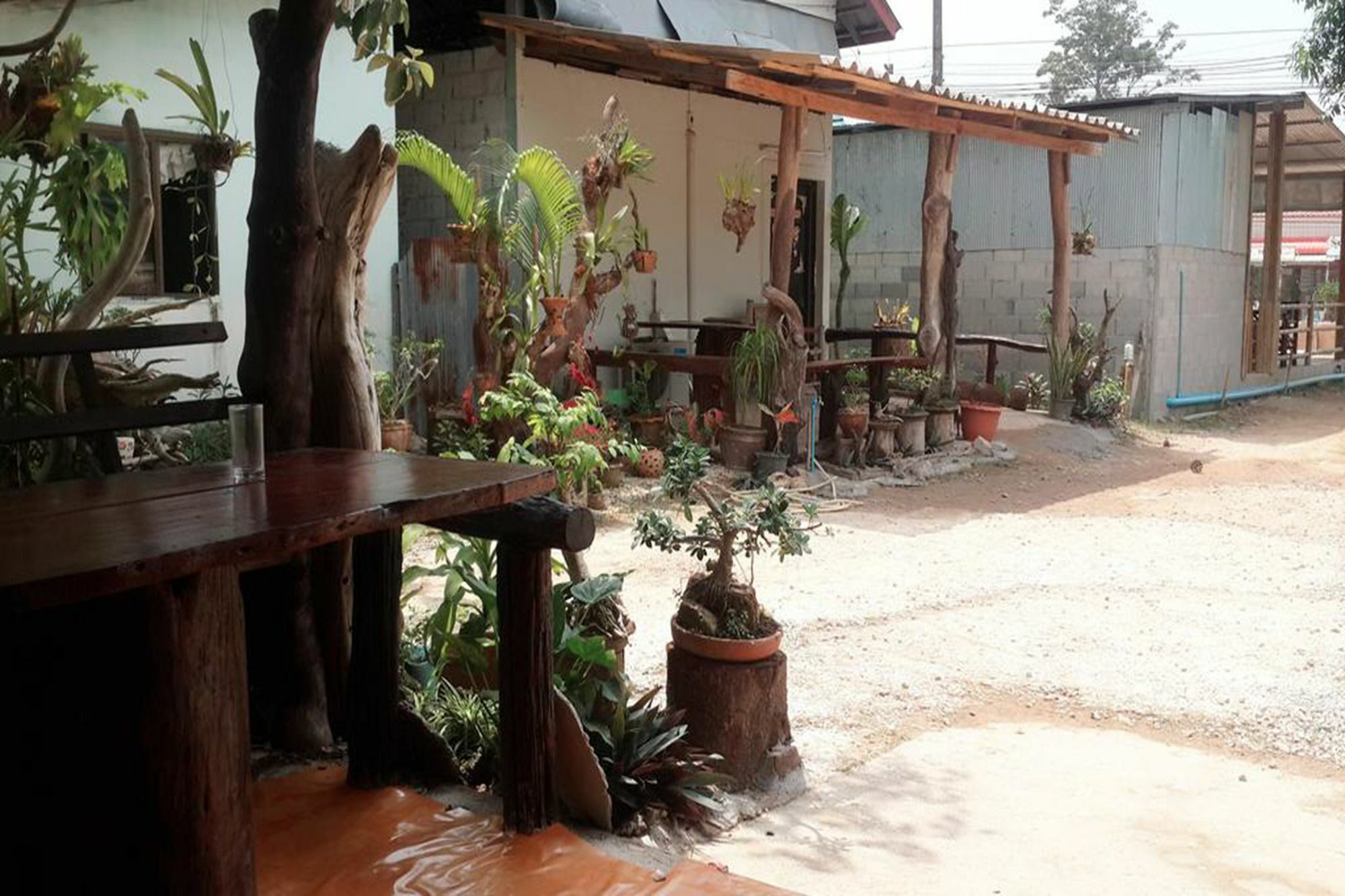 קו לנטה Unseen Bungalow מראה חיצוני תמונה